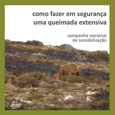 folheto Queimada capa