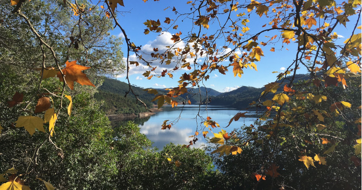 alterações climáticas