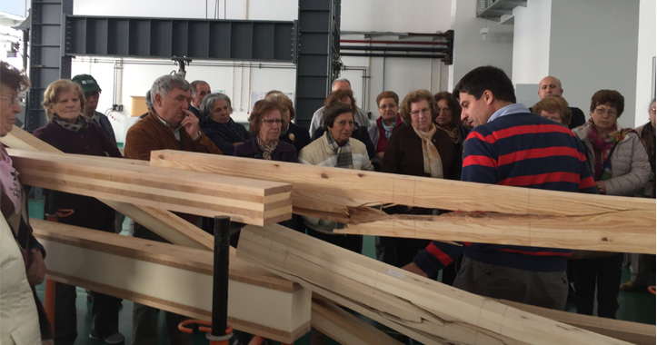 Slide-ASSDiaArvore18