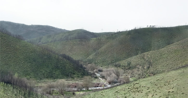 Sld-EstEmergencia2fase