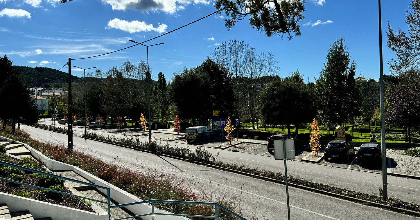 Avenida na Sertã, com céu azul e árvores verdes